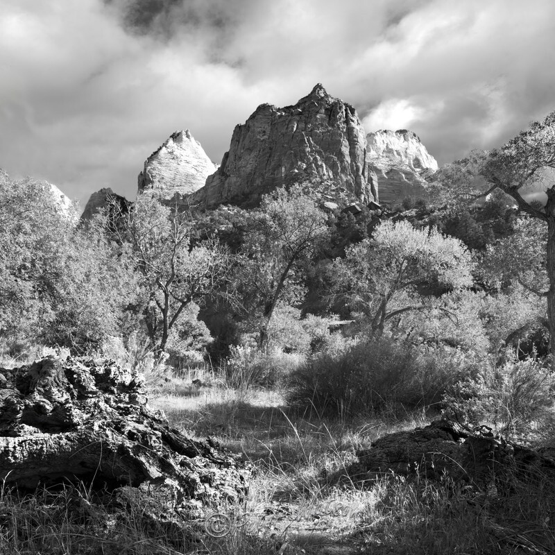 Zion National Park Utah USA - Monochrome