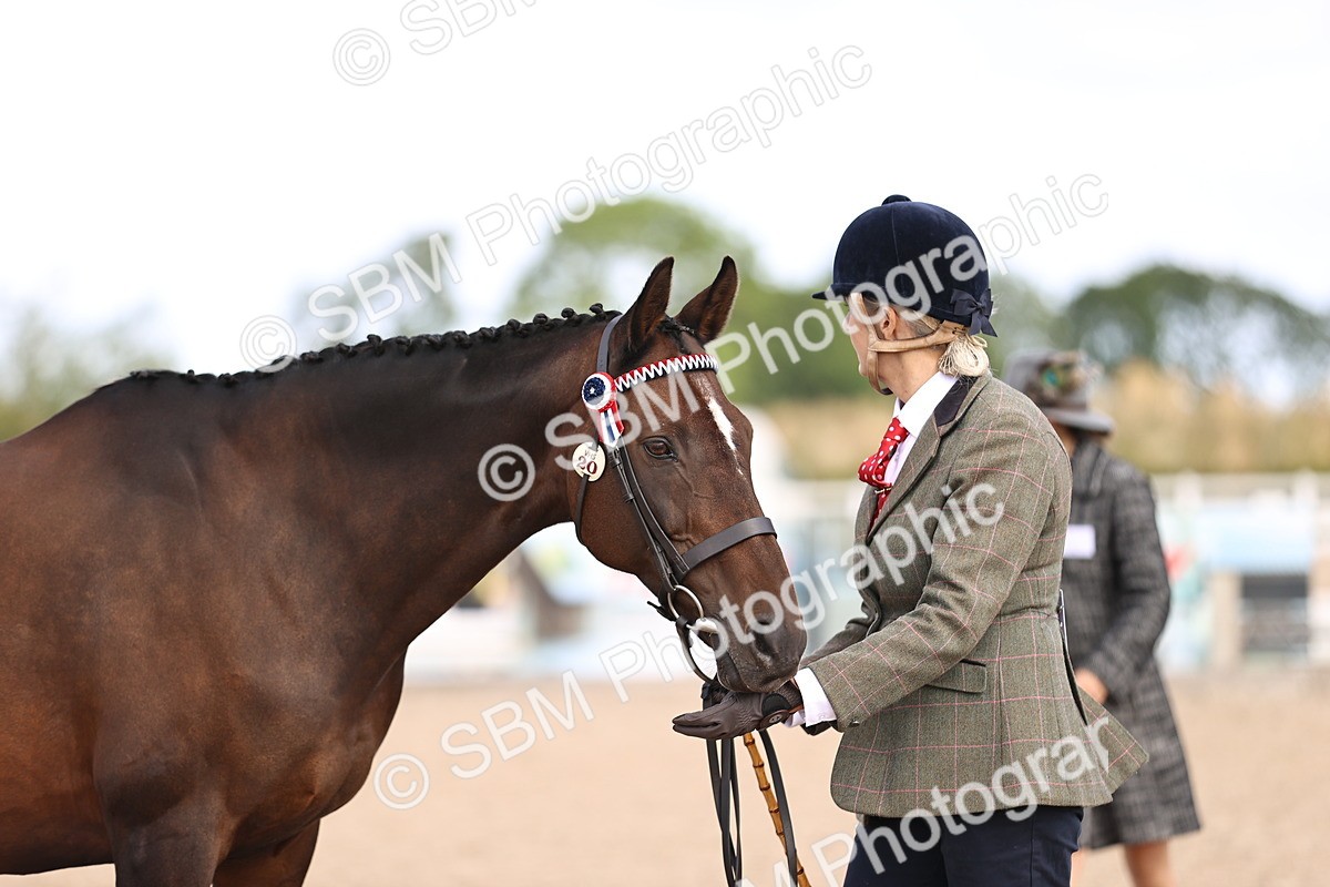 SBM_11544 - Class 407 - IH Hack-Riding Horse