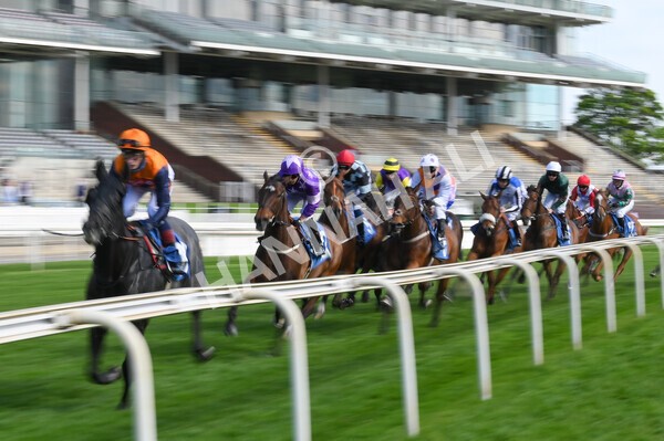 yr13052021r7-13 - Race 7 4.50pm Autohorn Stakes