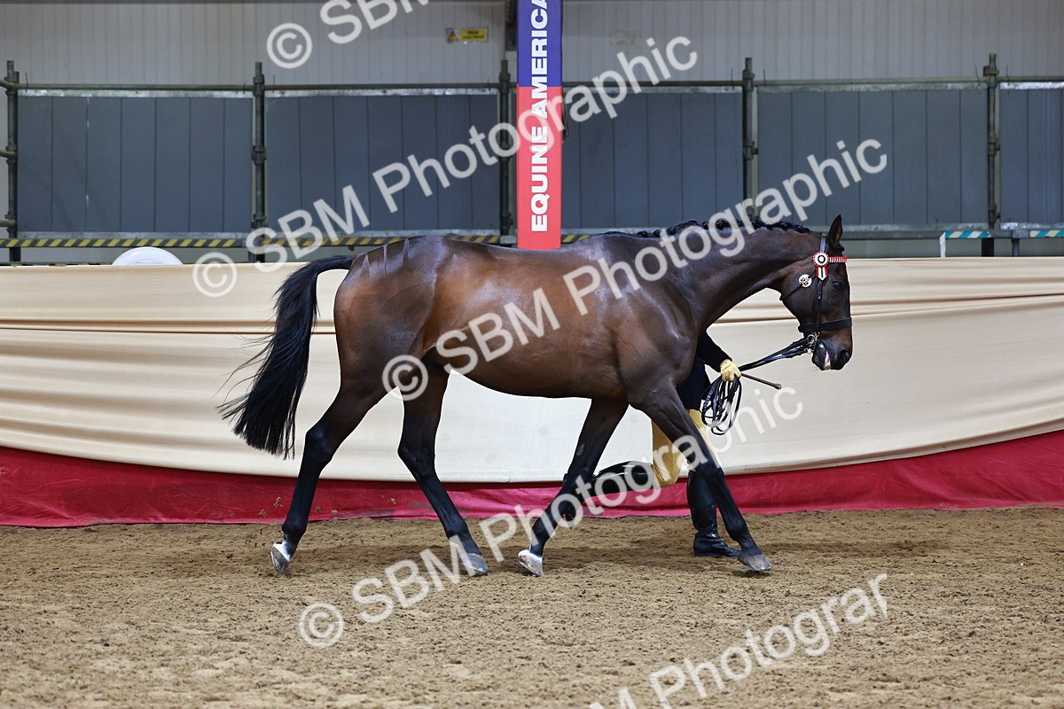 SBM_22113 - Class 902 - Supreme Final - IH Diamond