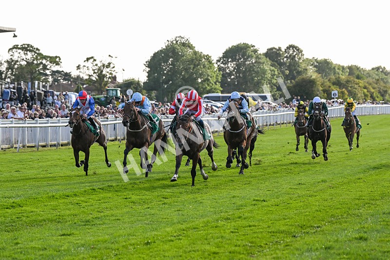 160824-Race 3-Force And Valour-9058 - Race 3
