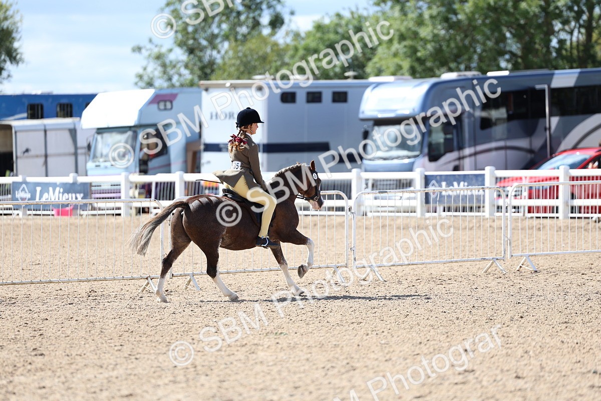 SBM_13335 - Class 311 - Ridden Show Pony Show Hunter Pony