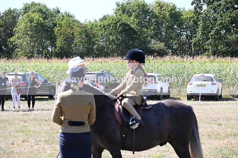 WJ6_7941 - Class 36 Lead Rein