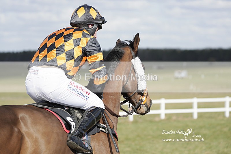 PtP 260223 403 - South & West Wilts Point-to-Point Larkhill 26/02/23