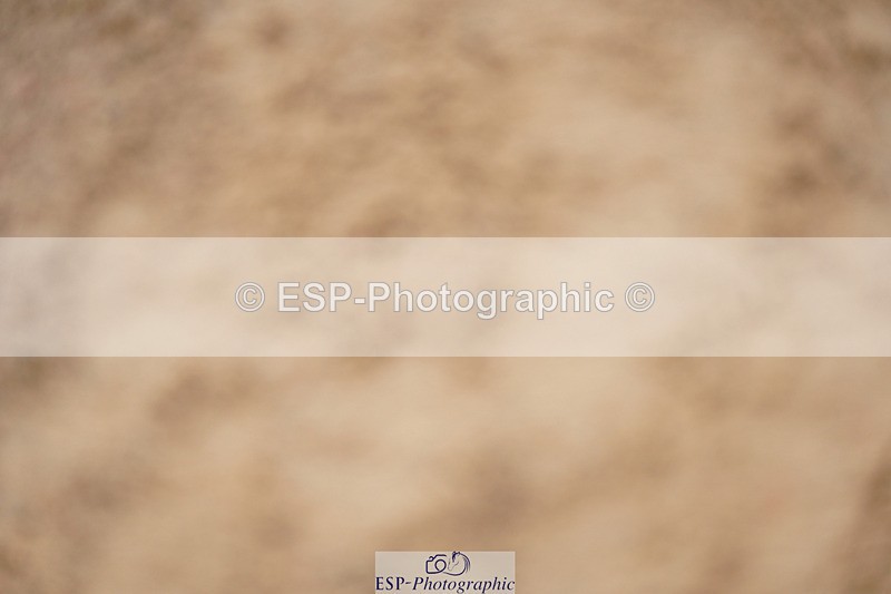 240317A-103000-04839 - Cls 25 Snr 1.20m Open