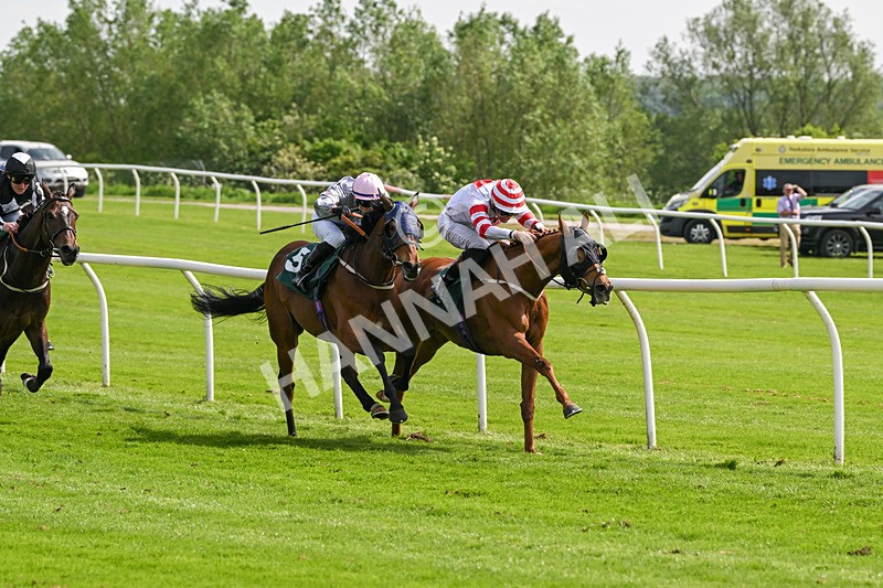 130524-Race 3-Animato-0252 - Race 3