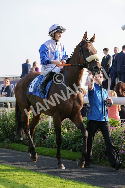 yr05092021r7-17 - Race 7 5.10pm Yorkshire Regiment Stakes