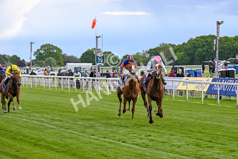 140526-Race 5-Item-5565 - Race 5 4.05pm Al Basti Equiworld Dubai Dante Stakes