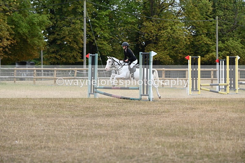 WJ6_0252 - Class 13 Novice Jumping 60cm