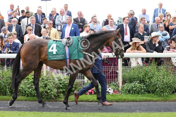 yr20082021r2-10 - Race 2 2.25pm Weatherbys Hamilton Lonsdale Cup (British Champion Series race)