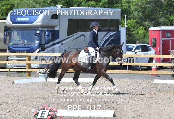 BPP_0171 - SHORT ARENA  MY QUEST PRELIM