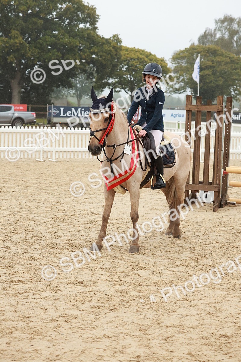 SBM_73485 - Supreme Championship Junior Pony 60cm & 65cm