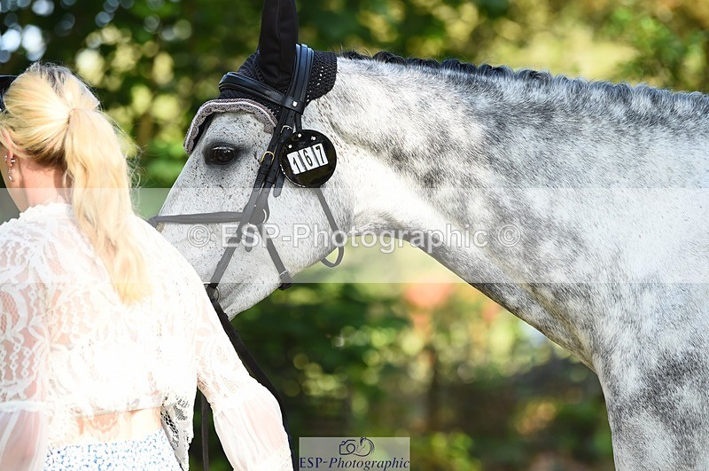 230524-165914-01224 - 167-COR_Y_TARAN-Toots_Bartlett-WEDTrotUp+DR