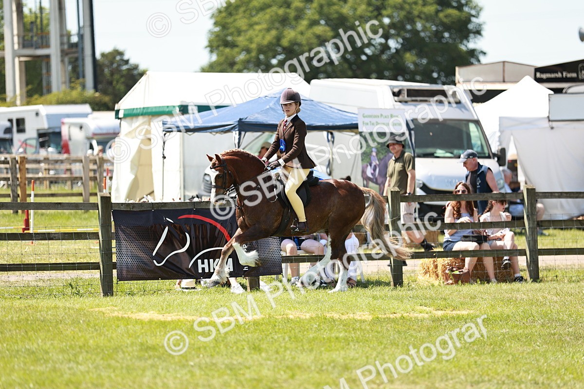 SBM_15791 - Class 108-109 - BSPS LIHS Open Gradle & Nursery Stakes