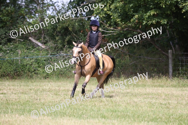 20260614-1908 - Class 21 - Novice Working Hunter Pony