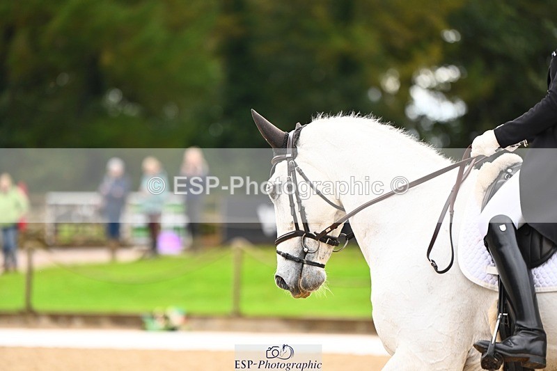 231021-123210-15144 - 349-MASERATI.DE.LANDETTA.Z-Emily.King-DR