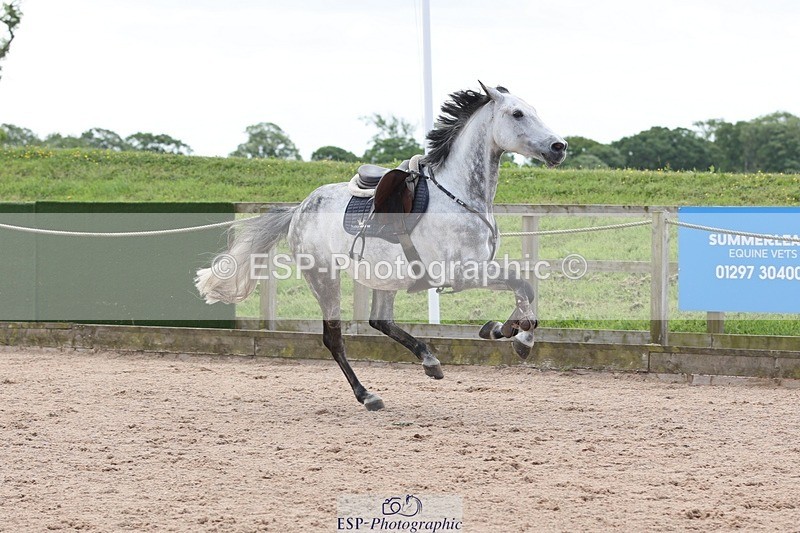 250525-111055-07735 - Cla 27 A&B 1.05 & 1.10m Snr Gran Prix