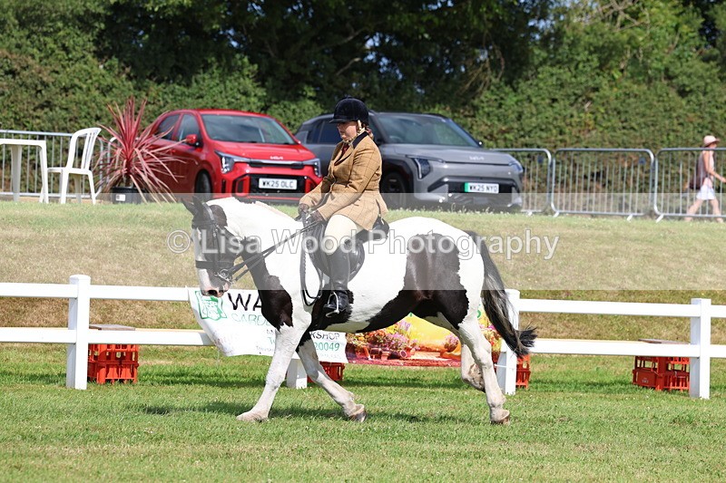 3E7A9741 - Class 5: Rising Star Lightweight/Heavyweight Cobs