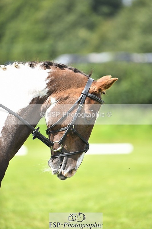 230826-132050-19780 - PC 70 1pm to 2pm