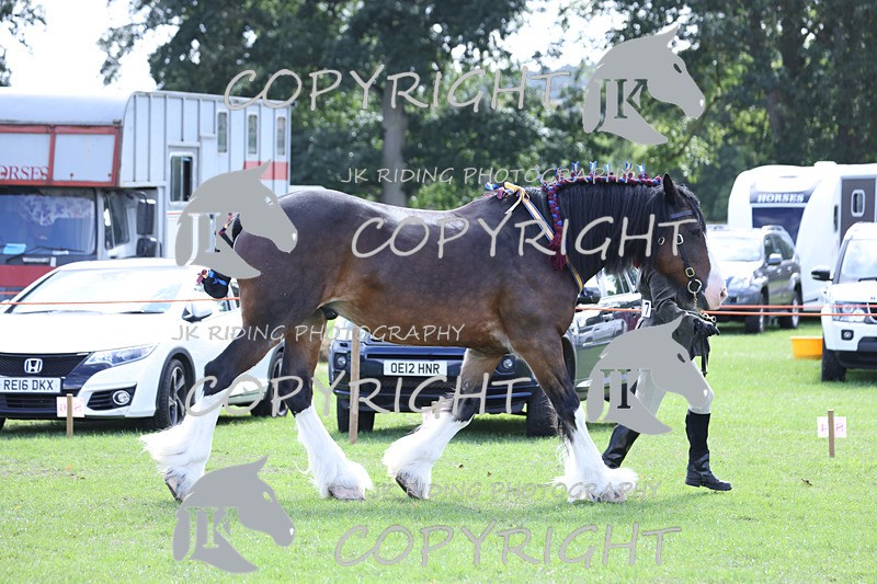 APP_3337 - Class 4 Veterans