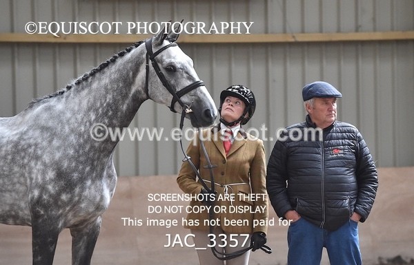 JAC_3357 - CLASS 8 BHS Scotland Riding Club Working Hunter Qualifier