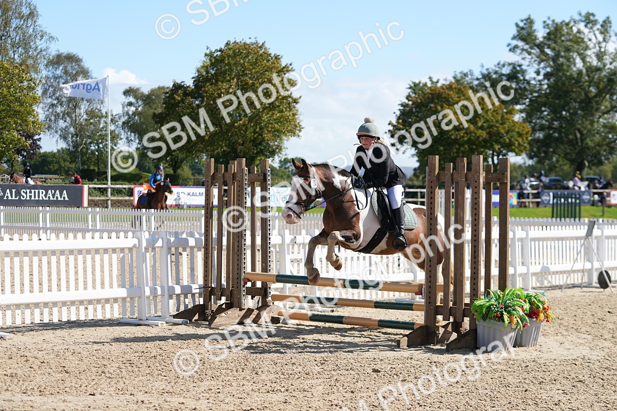 SBM_44416 - J7 - Junior Pony 60cm Championship