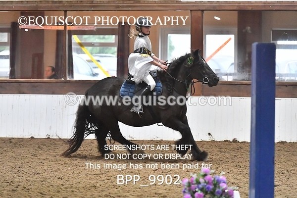 BPP_9902 - CLASS 1 CROSSPOLES