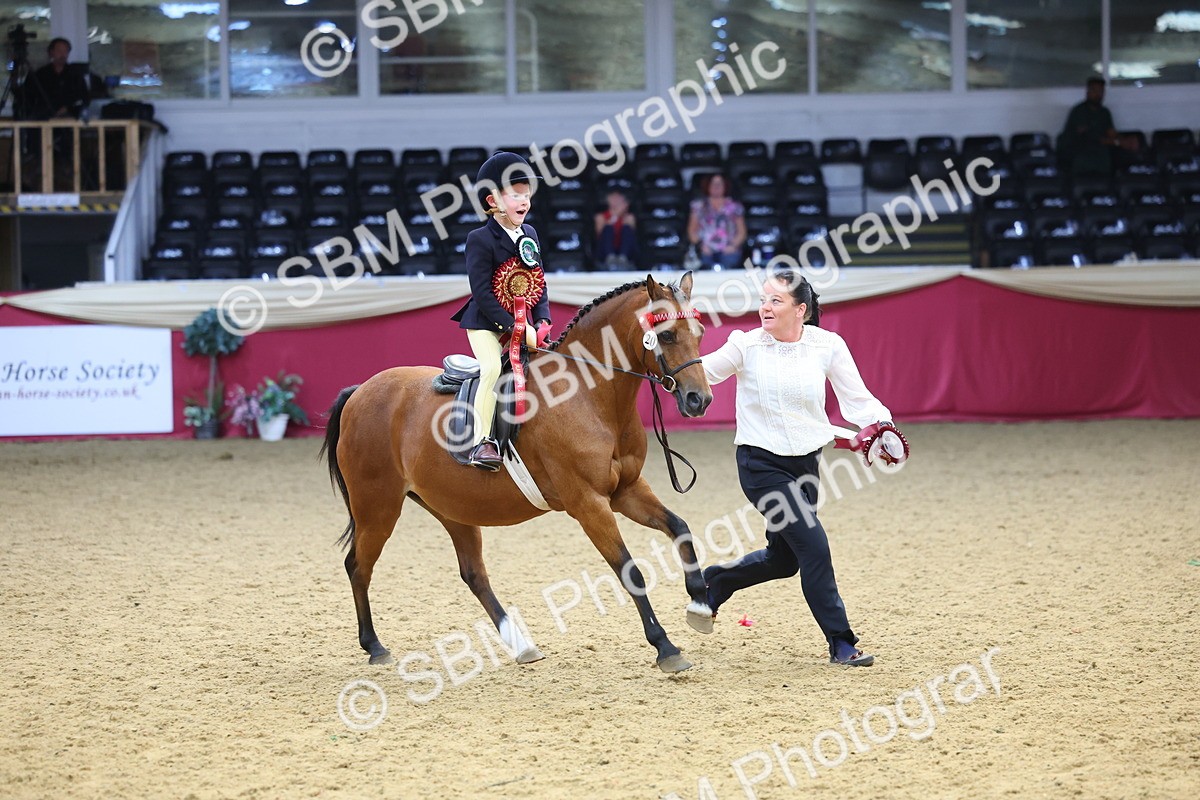 SBM_24228 - Class 905 - Supreme Final - Ridden Veteran