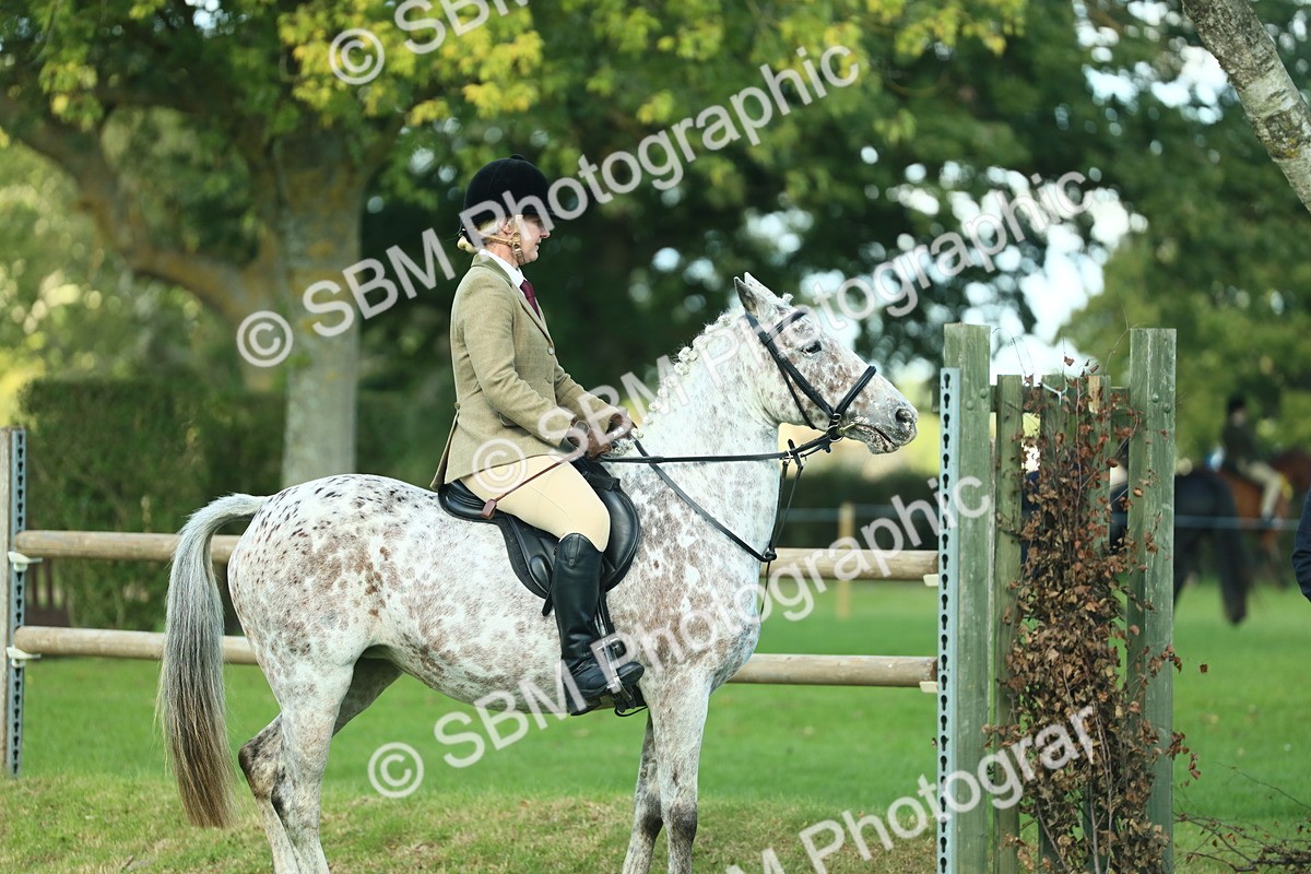 SBM_39239 - S29 - Novice & Newcomers Working Hunter Pony