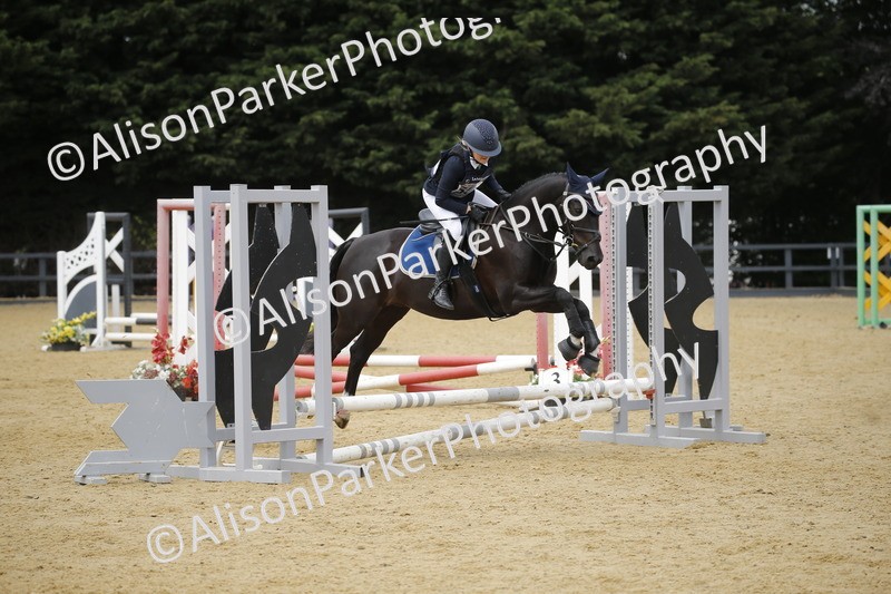 20250622-4684 - 50cm