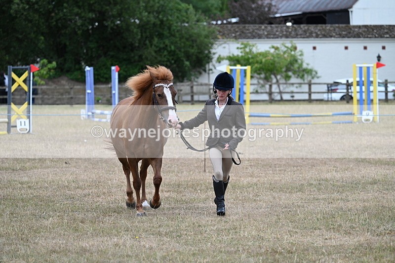 WJ7_8187 - Class 4 Prettiest Mare up to 14.2hh