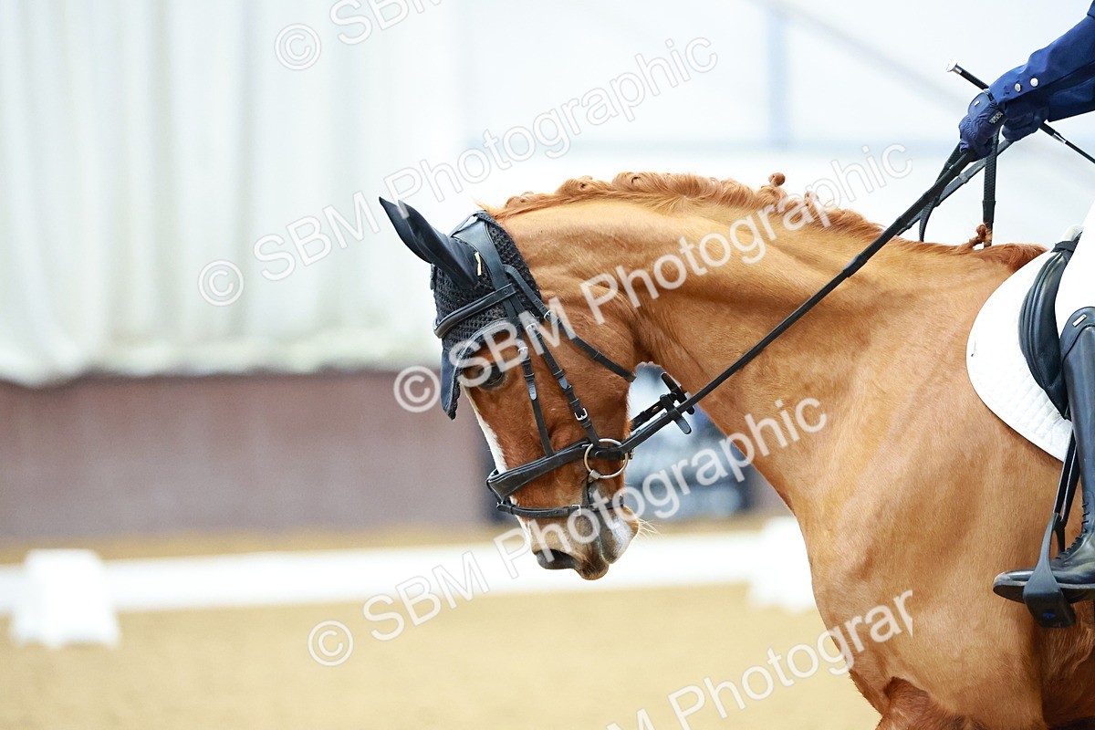 SBM_003266 - Class 1-2 - P4-P6