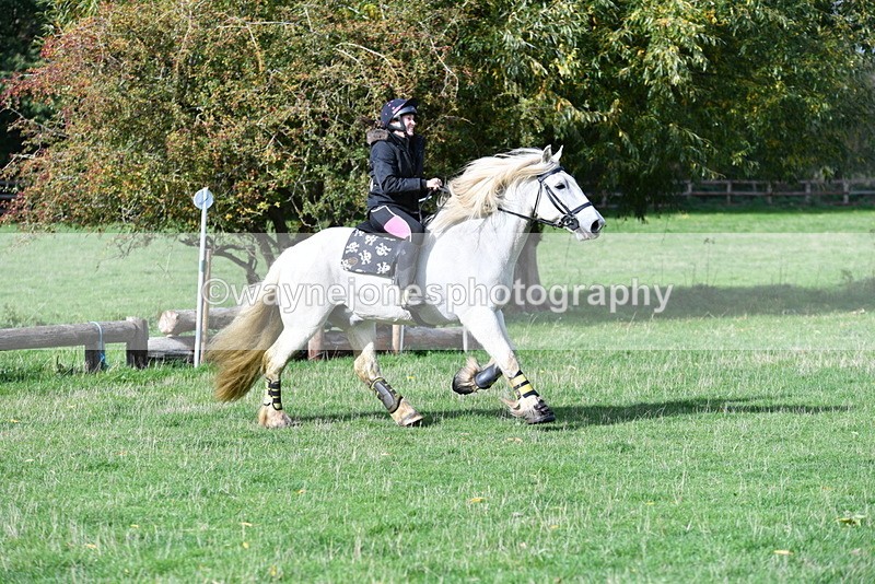 WJ5_7899 - Time 10:31 to 12:01