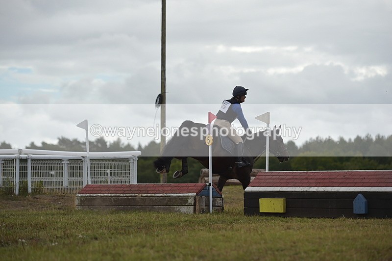 NGP_2175 - XC Time 11:20 to 11:36