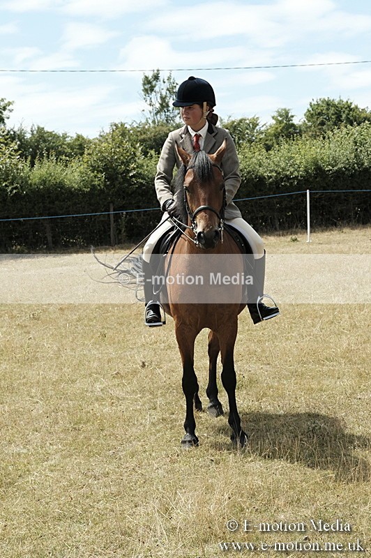 _PJP5996 - BVRC Show 2018 Ring 1