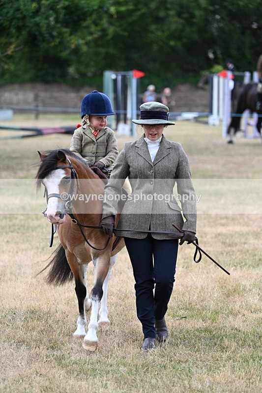 WJ7_9536 - Class 1 Lead Rein Pony