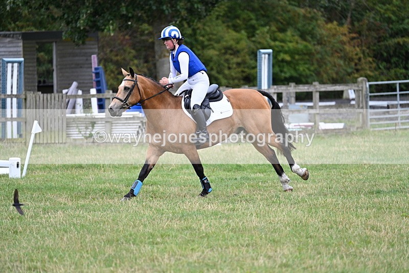 WJ7_4864 - All of 80cm