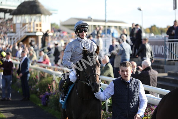 yr08102022r5-18 - Race 5 3.50pm The Coral Committed To Safer Gambling EBFStallions.com Maiden Stakes