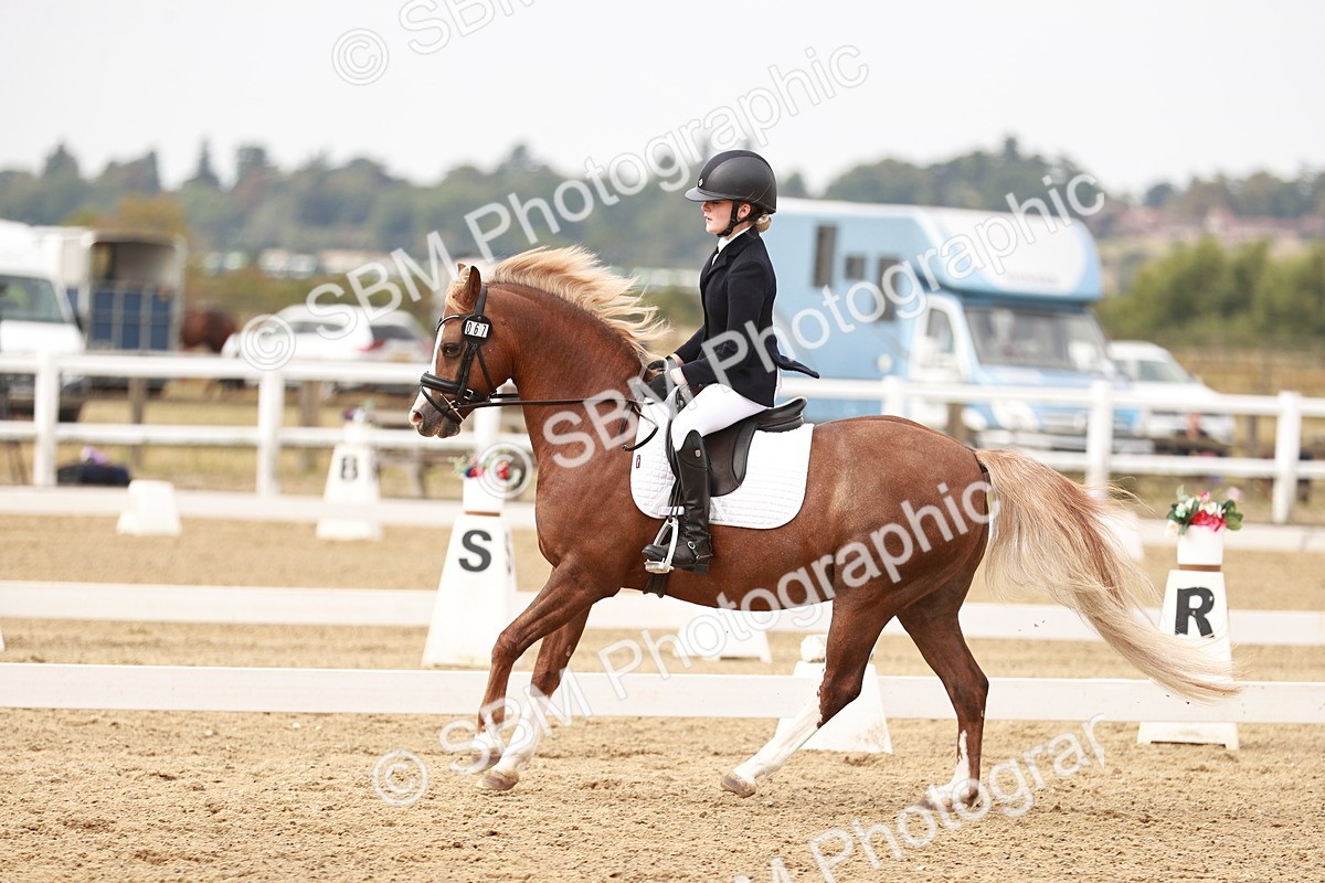 SBM_000312 - Class 1 - Prelim 5 - 9.30-10.19