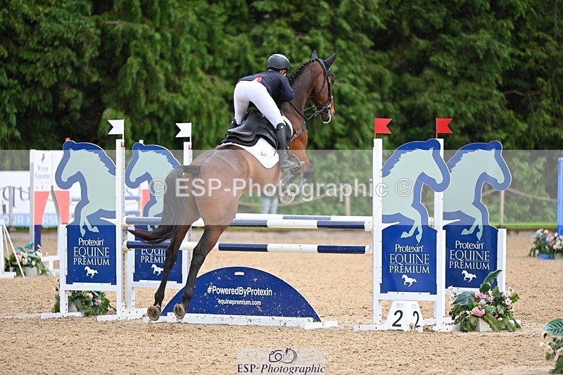 240526-155506-25164 - 274-JACK_OF_CLUBS-Rosalind_Canter