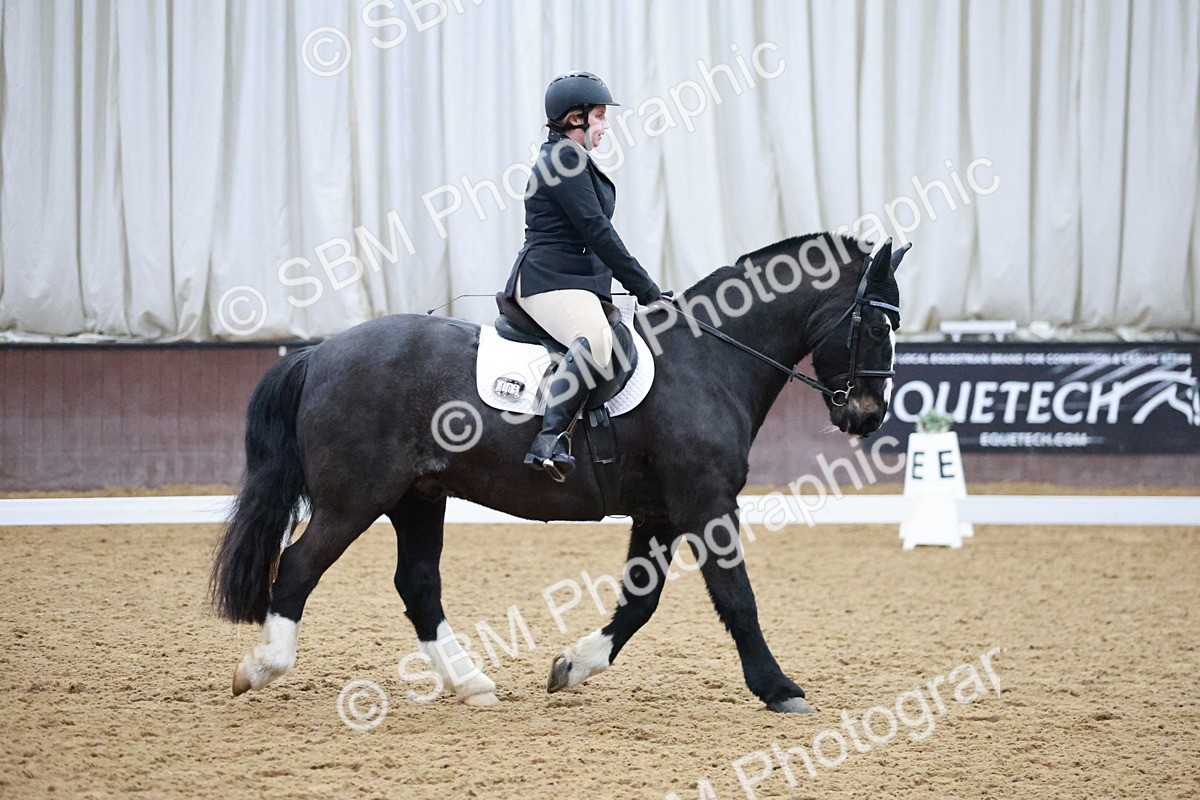 SBM_000156 - Class 17-6-18 - TQ U21 Novice 3Novice 3-MQ Open Prelim 1