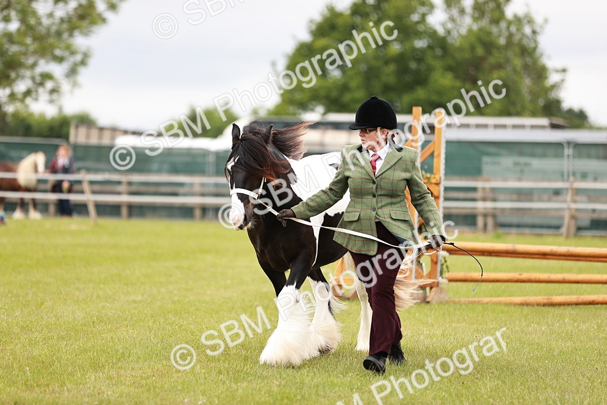 SBM_05984 - Class 39-41 TGCA In Hand and Ridden