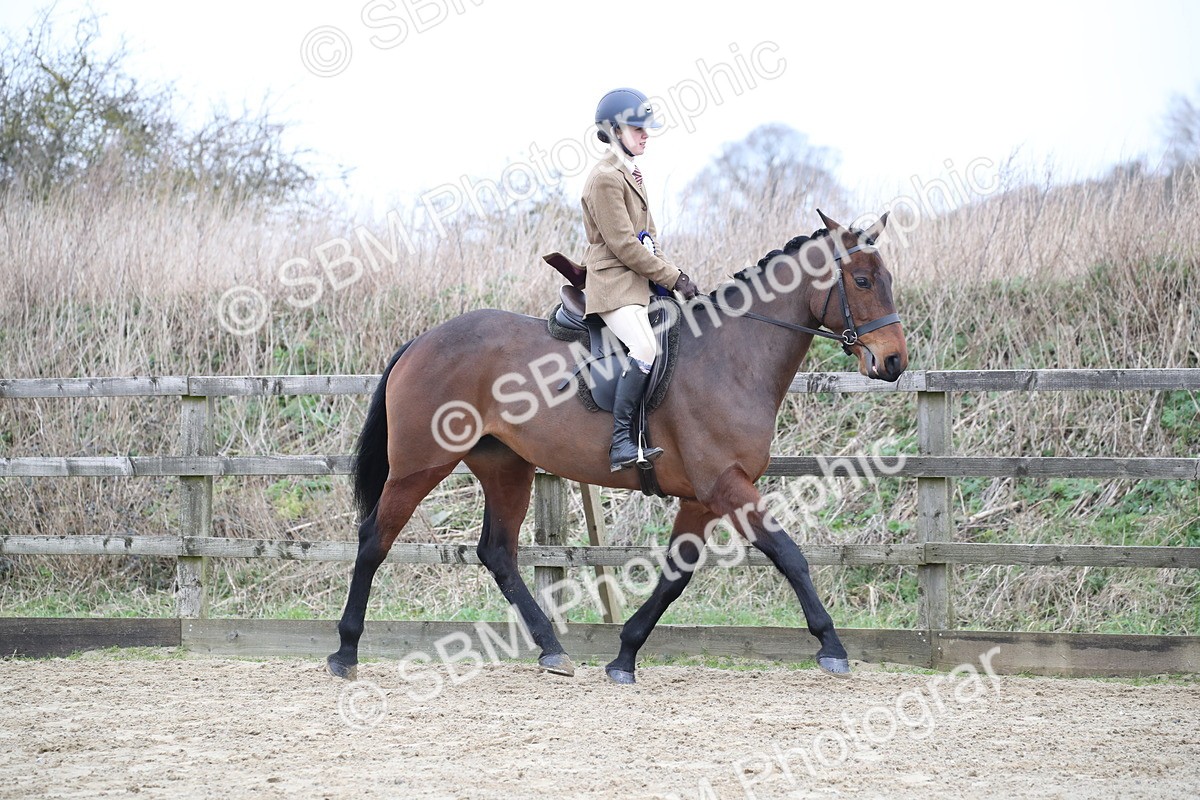SBM_004790 - Class 5-9 - NPS In Hand-Show Hunter-Intermediate Ridden Inc Ridden Championship