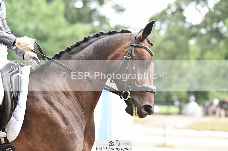 140110A-000342-10496 - 156-Anna.James-Caramia's.voice