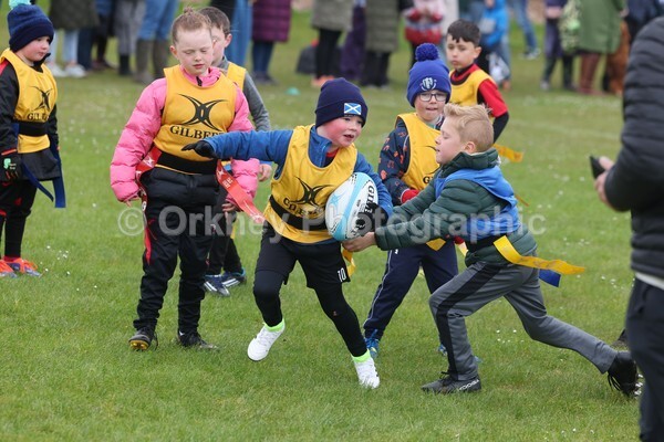 DAD22347 - Rookies/Mini Rugby on 7s Day