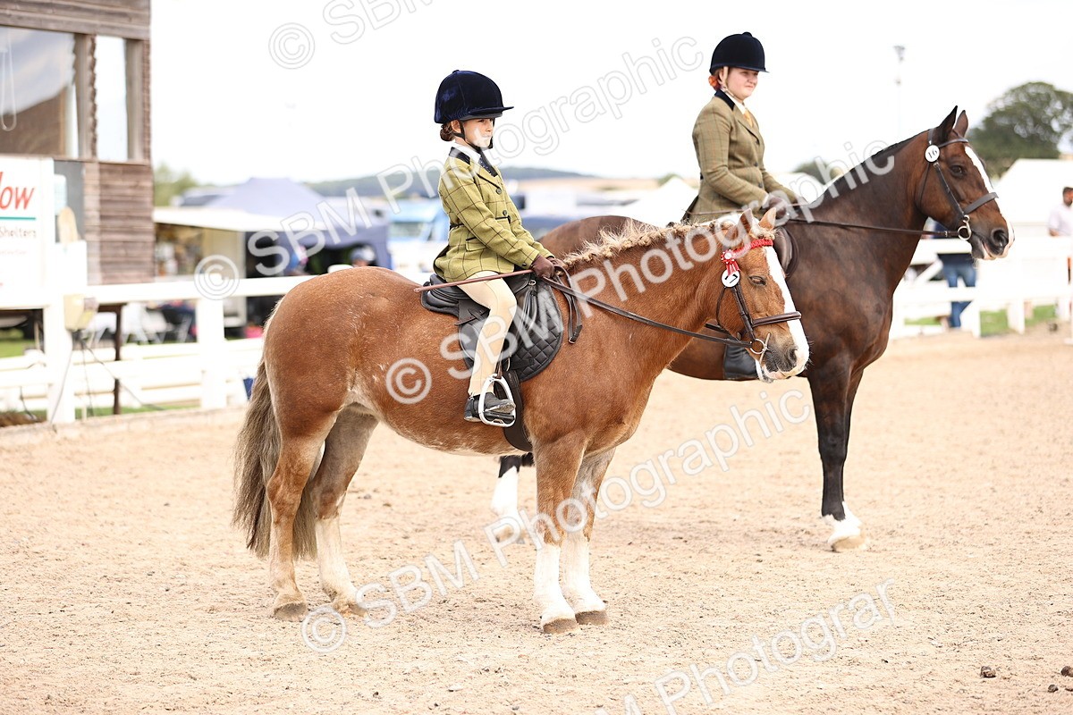 SBM_16158 - Class 420 - Horse-Pony Judge would most like to take home (IH or Ridden) Jnr