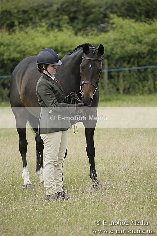 B230619-0272 - Bourne Valley Riding Club Summer Show 23/06/19