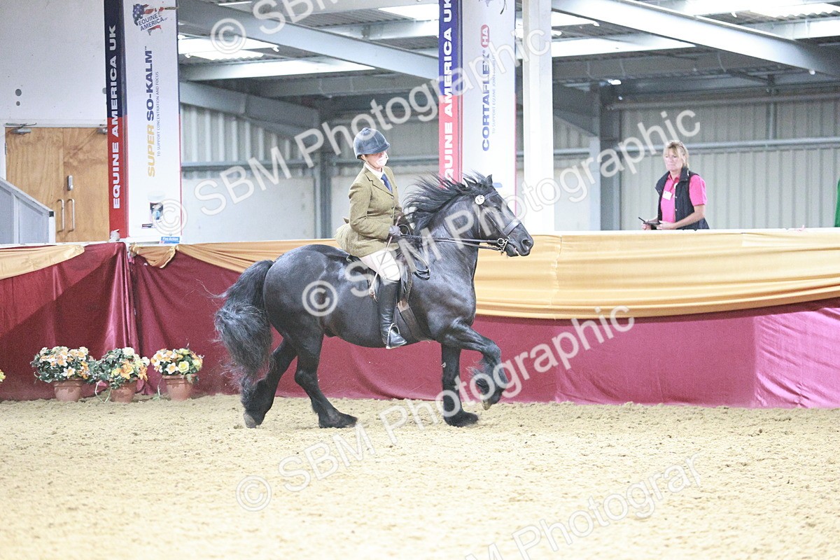 SBM_09035 - Class 12R - Regional Ridden Pre-Vet