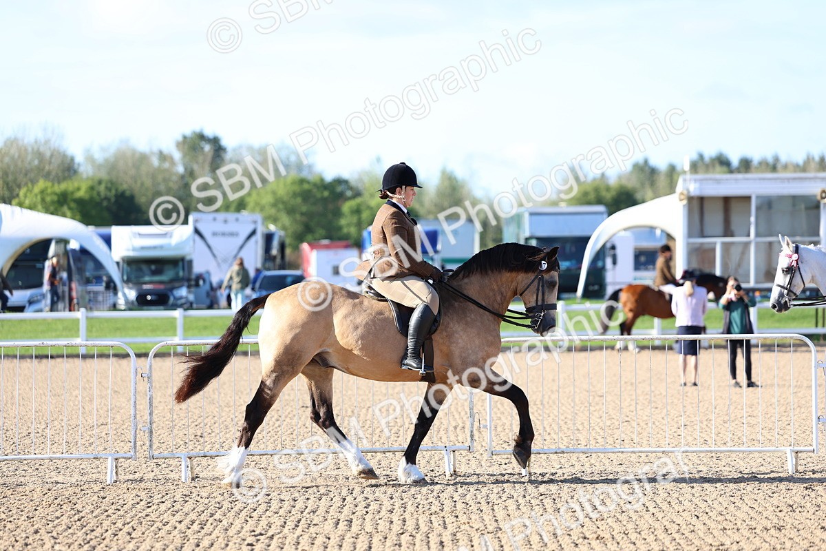 SBM_08744 - Class 302 - Ridden M&M - Large Breeds