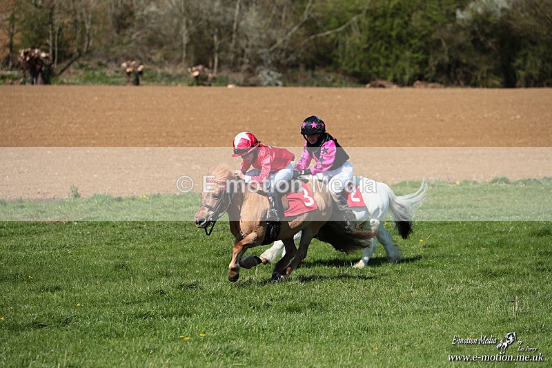Shet 060426 169 - Shetland Pony Racing Paxford Races Easter Mon 06/04/26